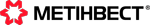 Метинвест логотип